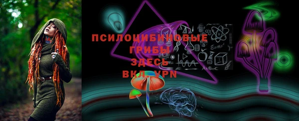 ECSTASY Сатка
