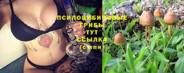 ECSTASY Сатка