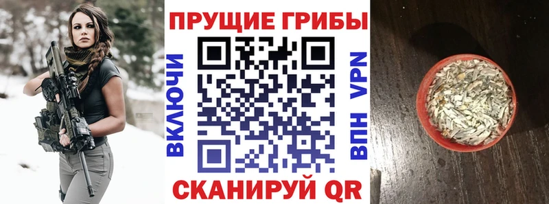 ссылка на мегу tor купить закладку Абинск Галлюциногенные грибы мицелий