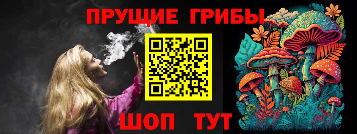 сколько стоит  Вход с VPN  Абинск  Галлюциногенные грибы Psilocybe 