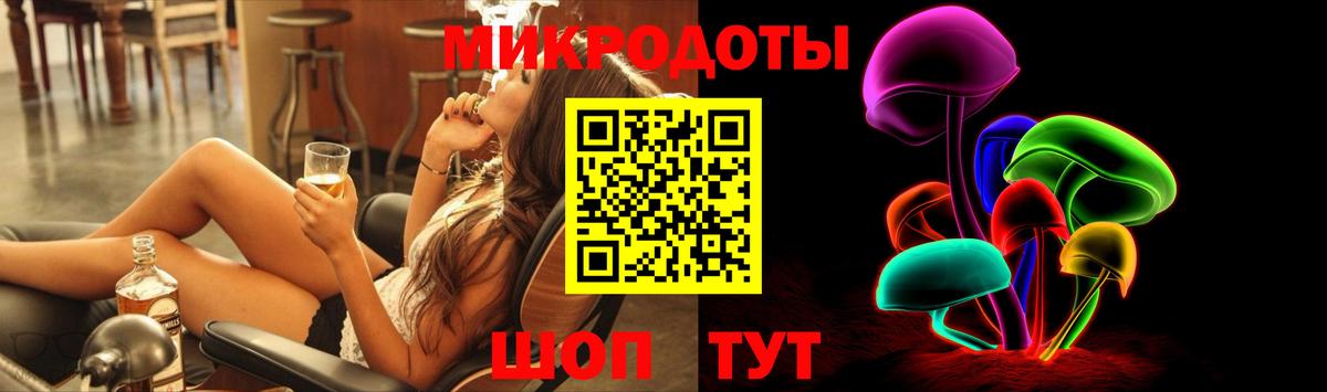 Псилоцибиновые грибы Psilocybe Абинск